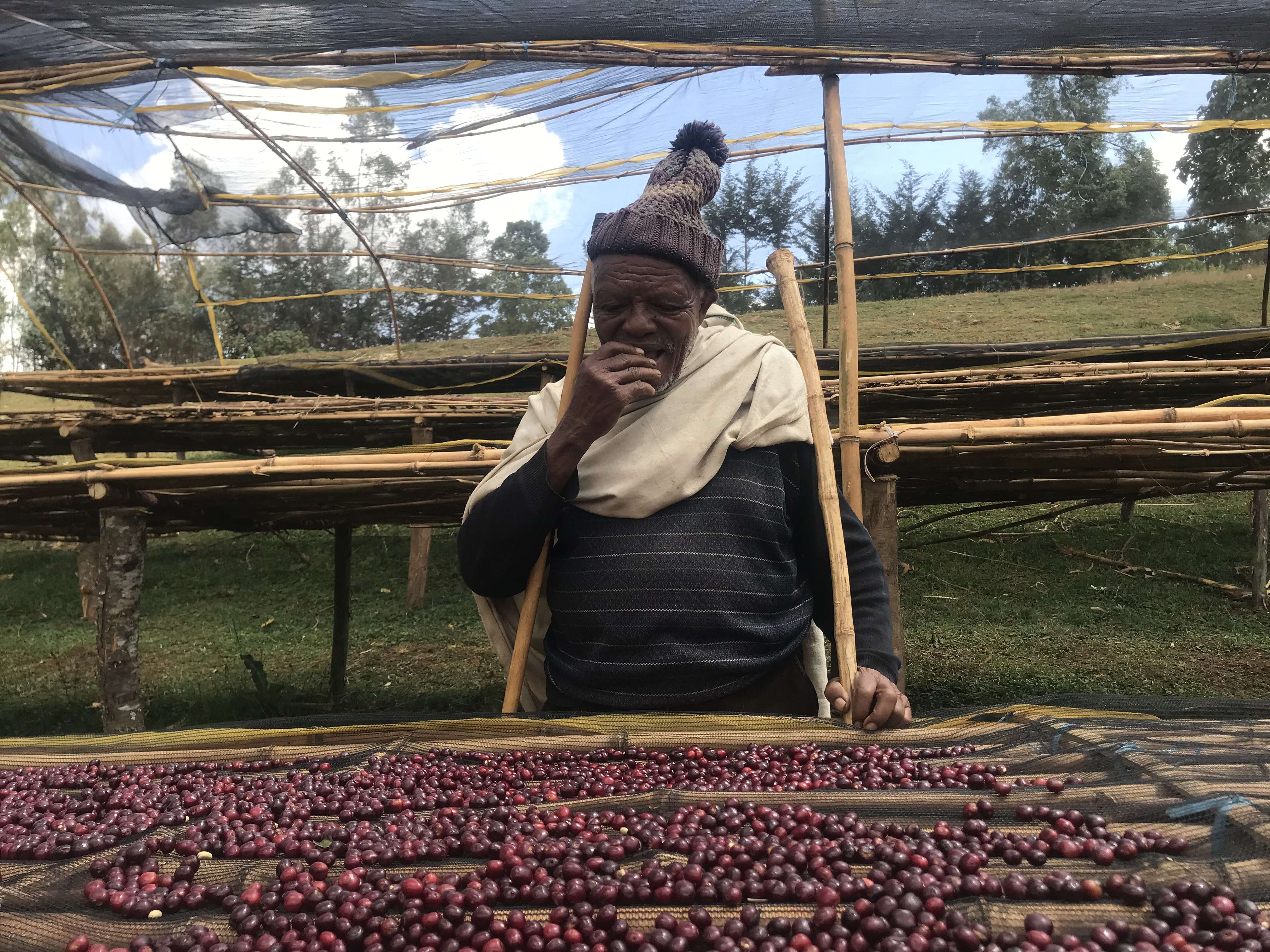 Farmer at the drying station